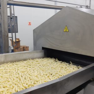 Extruded Snack: Kurkure / Cheetos / Nik Naks Frying Line