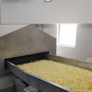 Extruded Snack: Kurkure / Cheetos / Nik Naks Frying Line