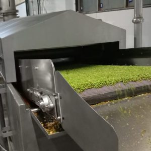 Nuts Frying Line