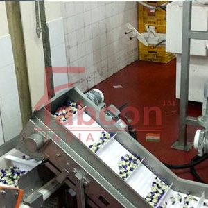 Belt Conveyors