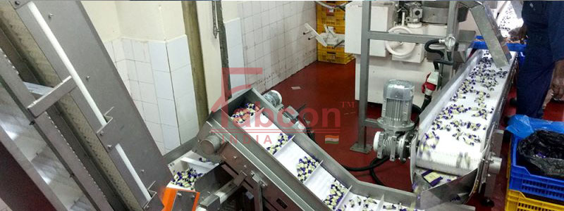 Belt Conveyors