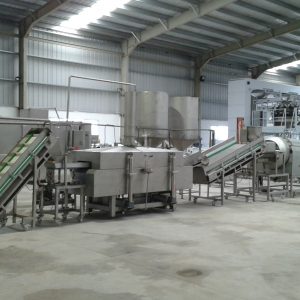 Pellets Frying Line