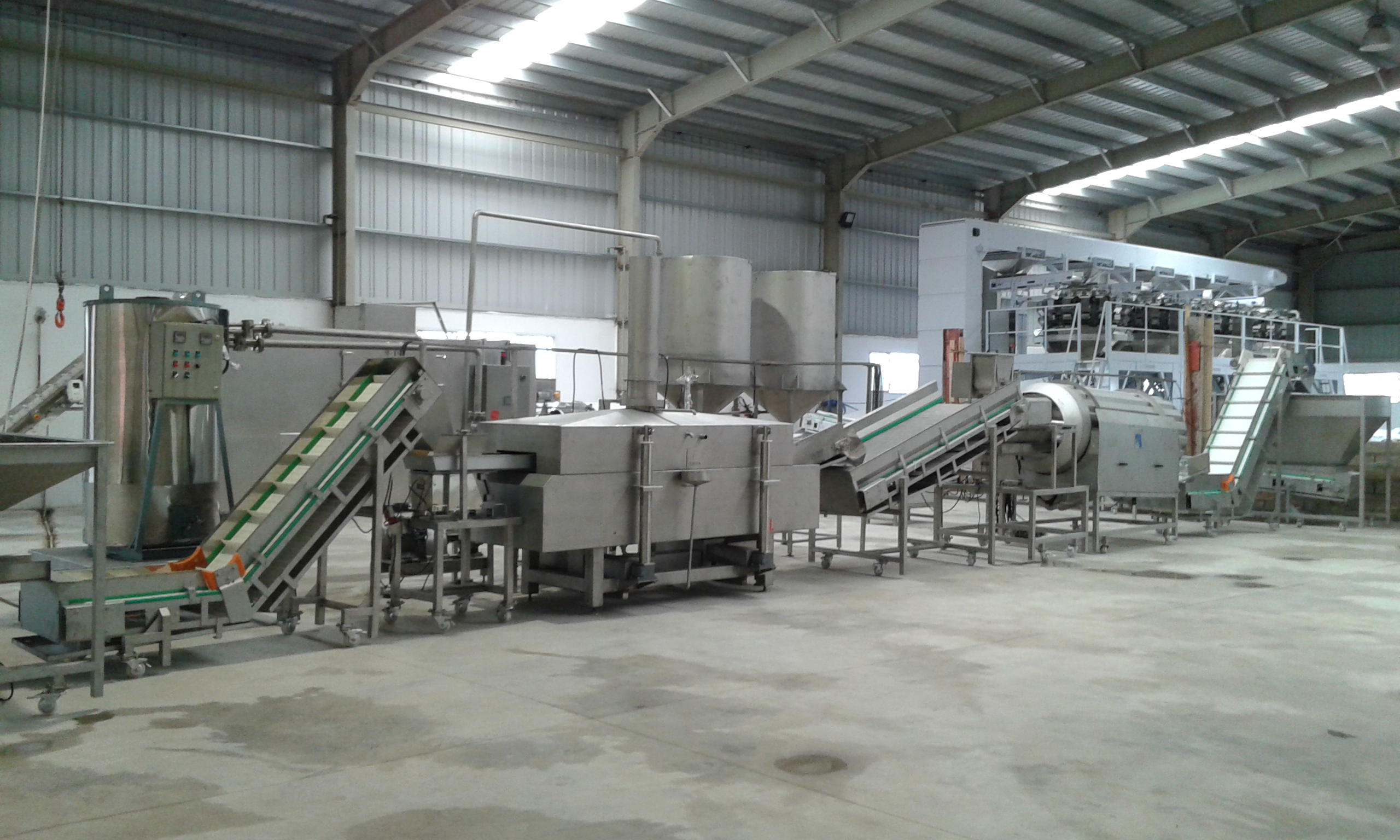 Pellets Frying Line