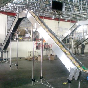 Special Need Conveyor