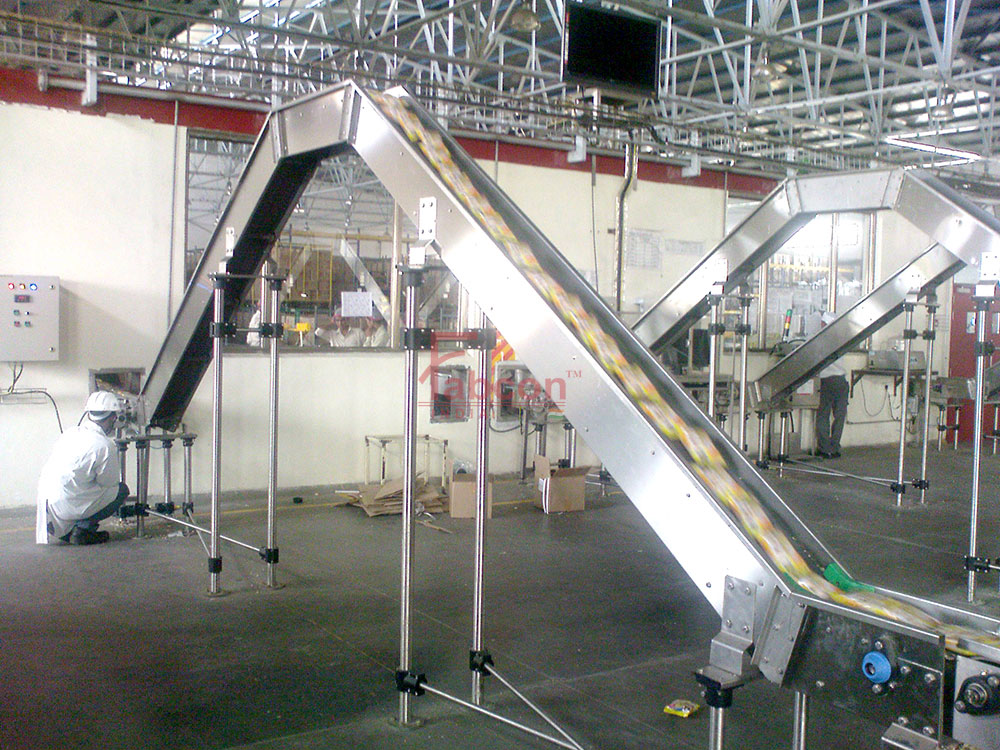Special Need Conveyor