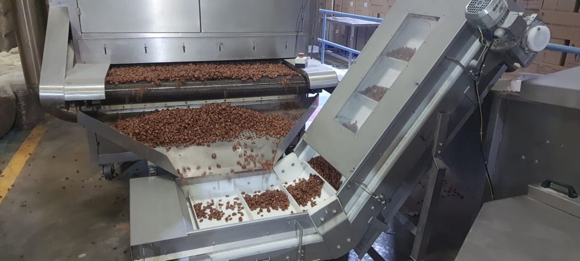 Process conveyor
