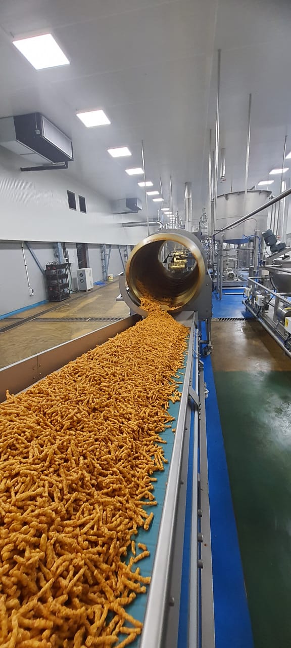 Process conveyor