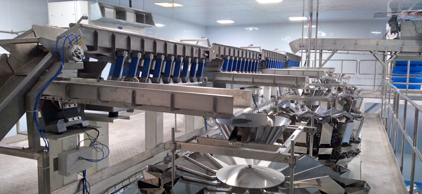 Nuts Frying Line